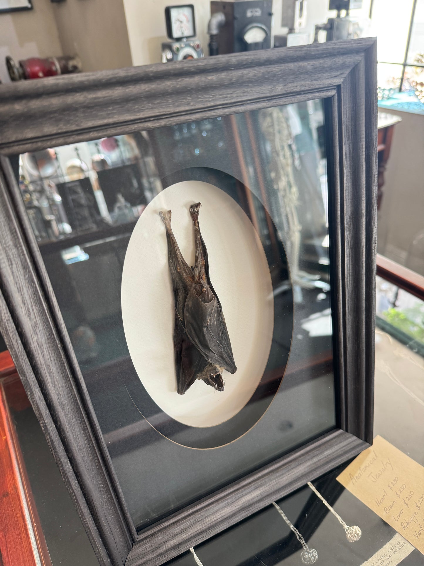 Hanging bat