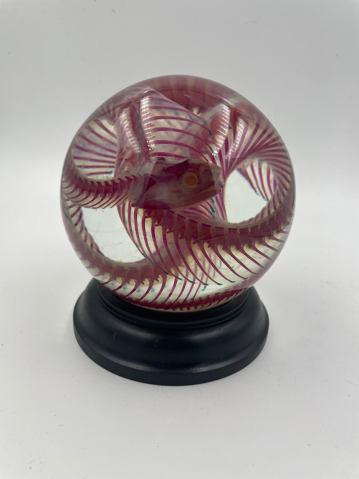 Diaphonised Snake