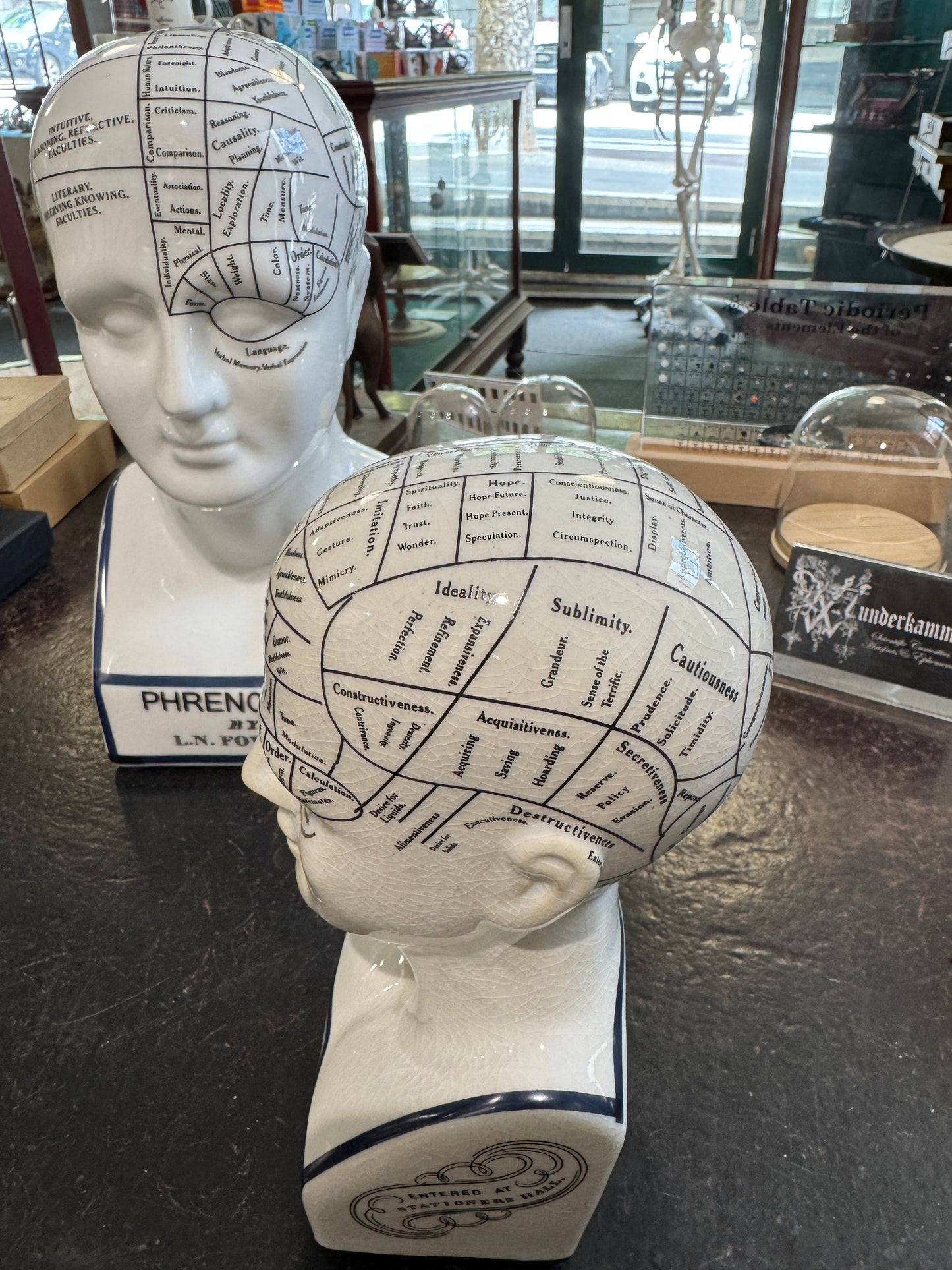 Phrenology head