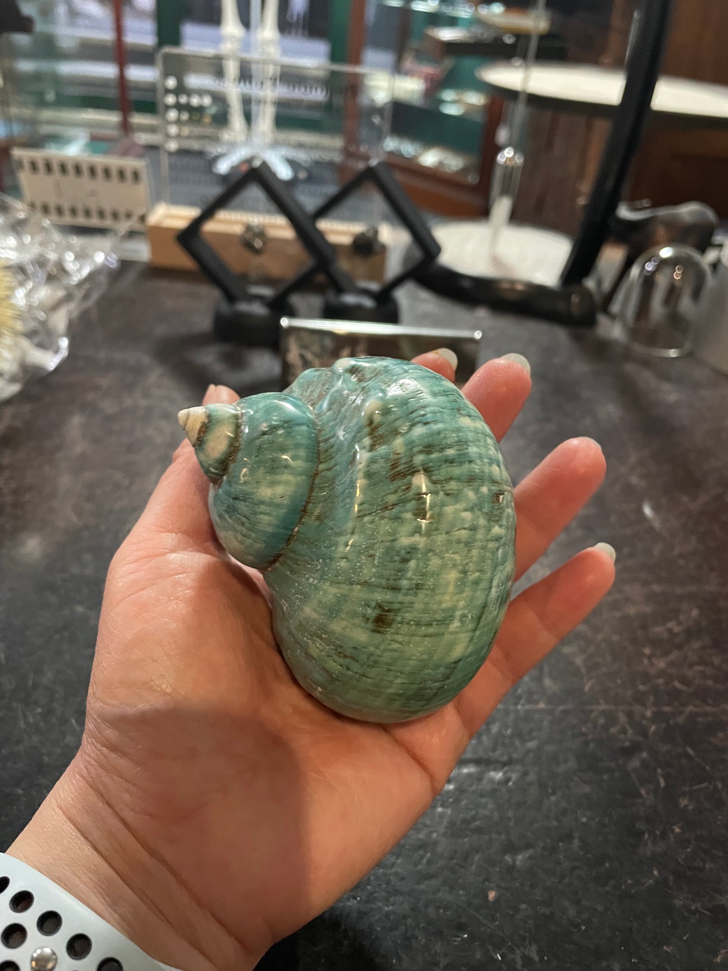 Great Green Turbo Shell