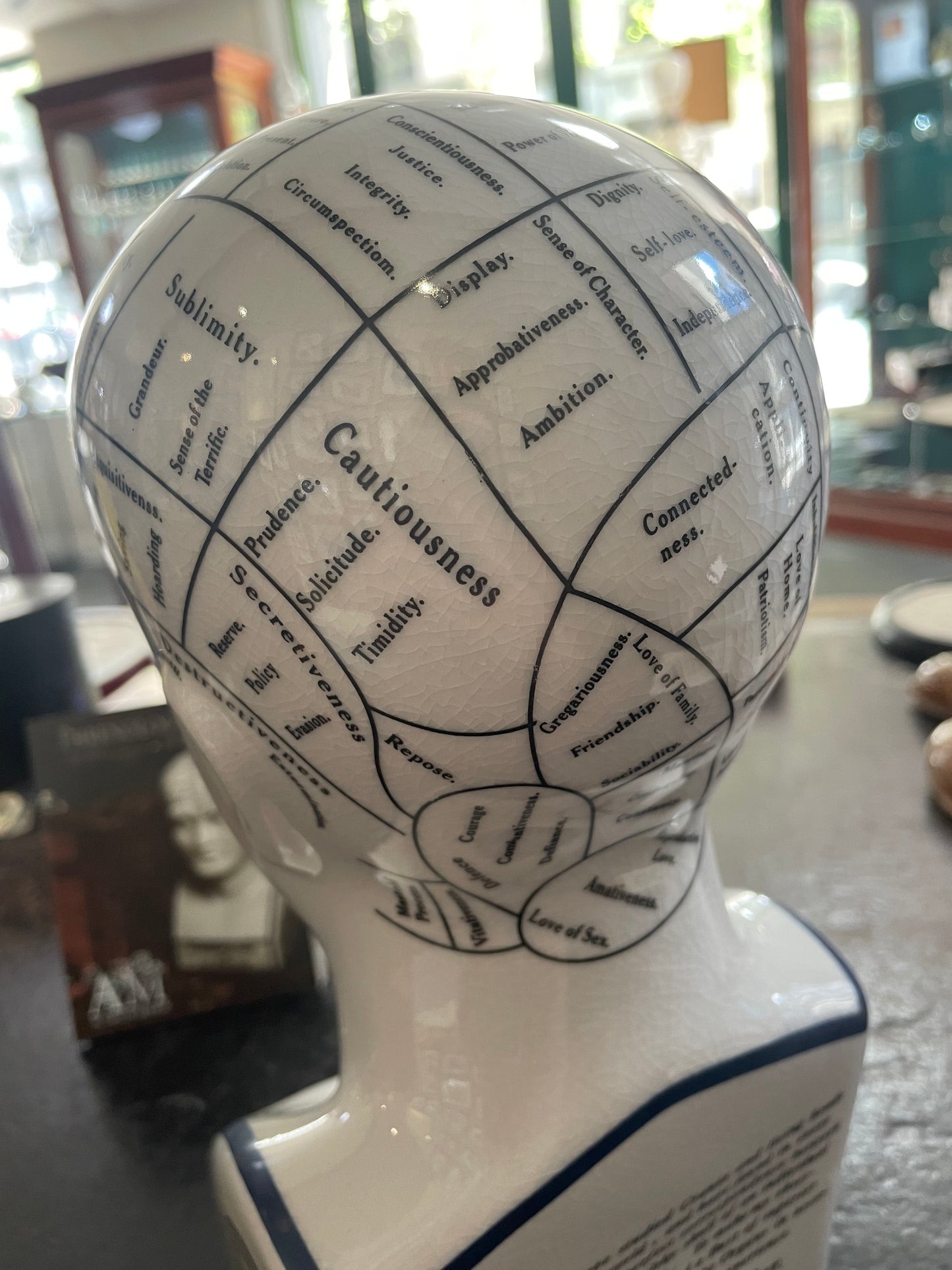 Phrenology head