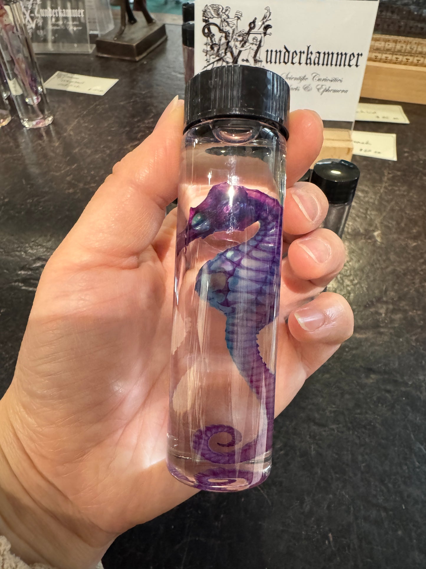 Diaphonised Seahorses