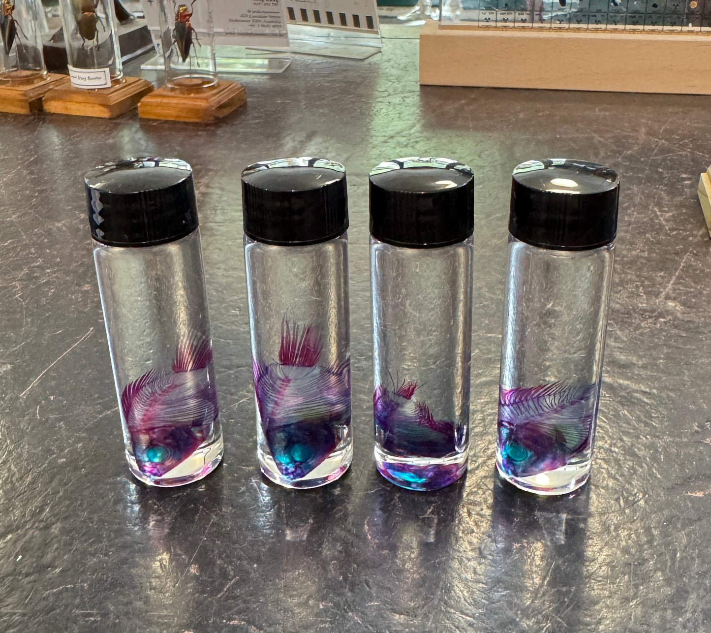 Diaphonised Goldfish