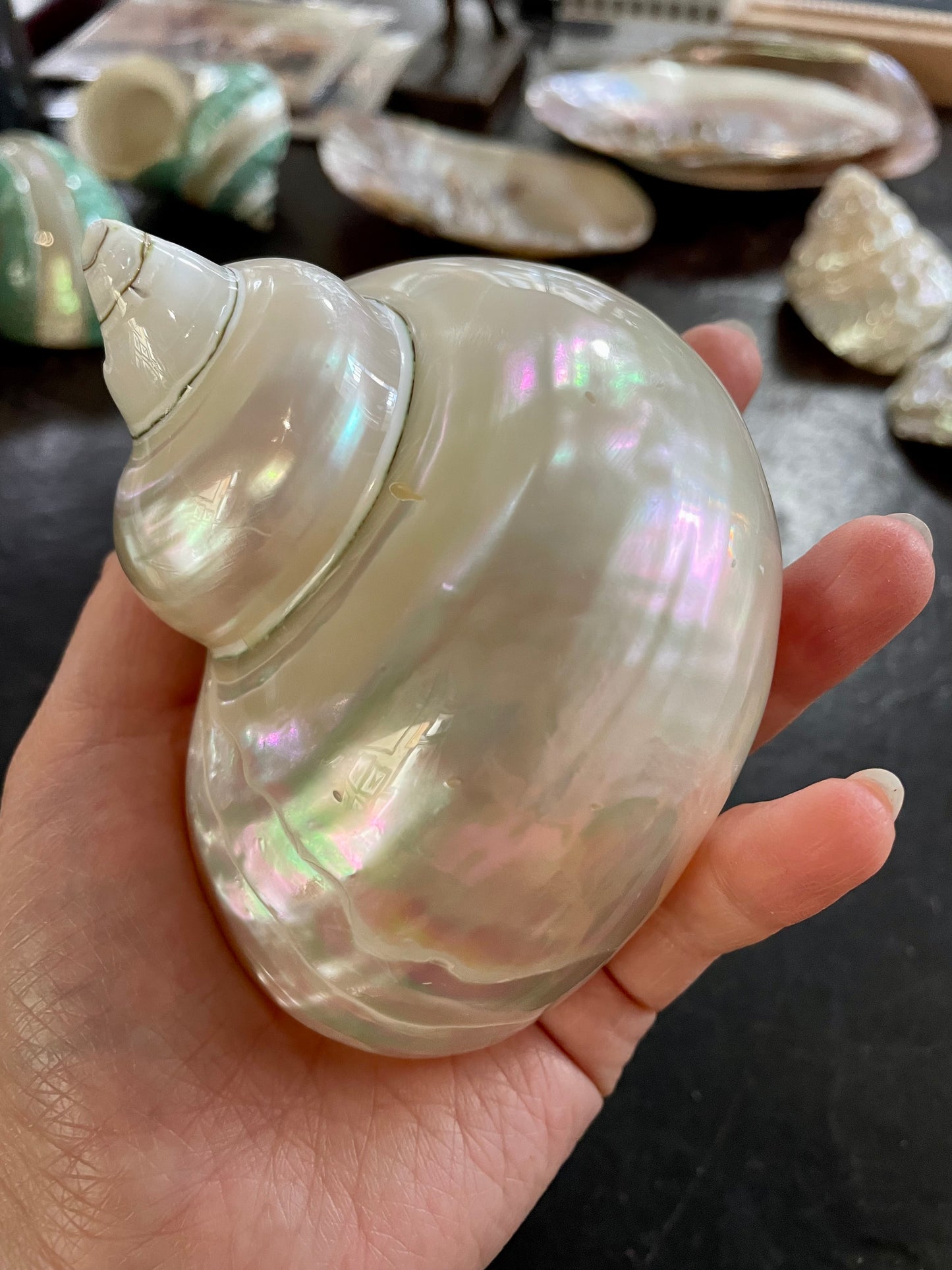 Pearl Turbo Shells