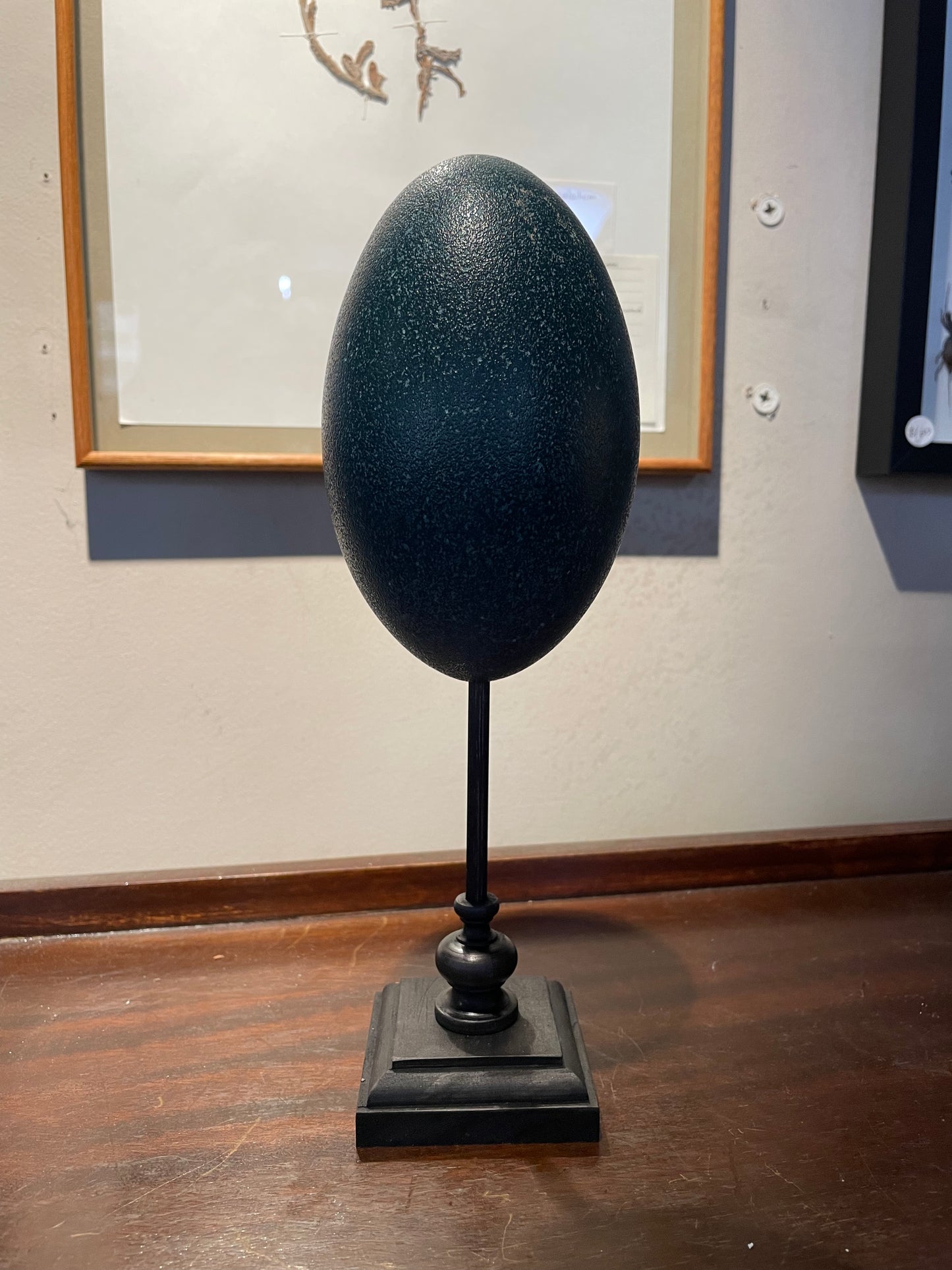 Ostrich/ Emu eggs