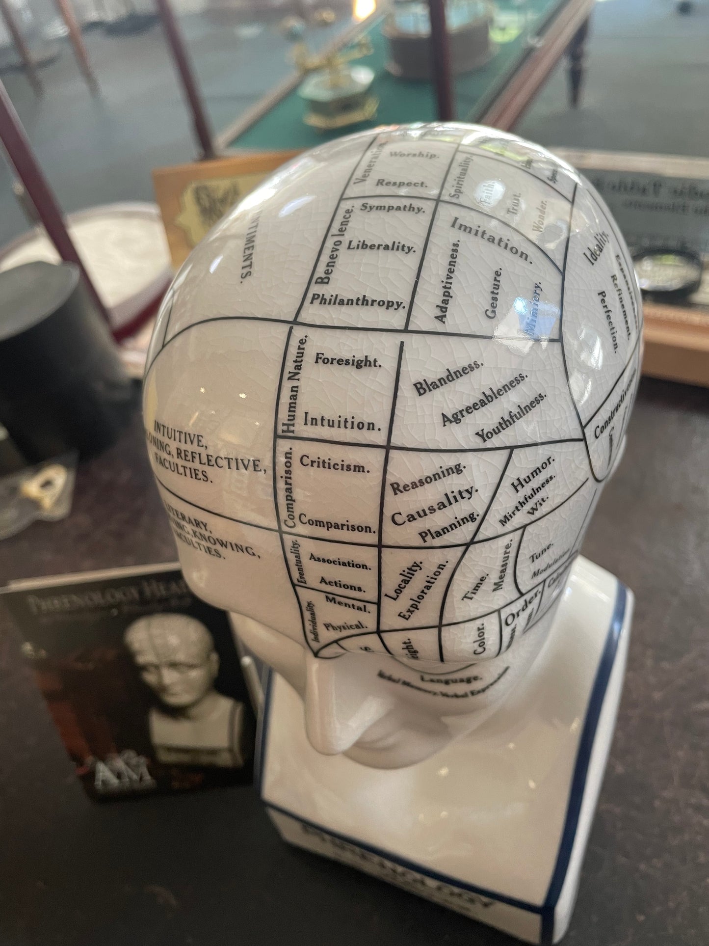 Phrenology head