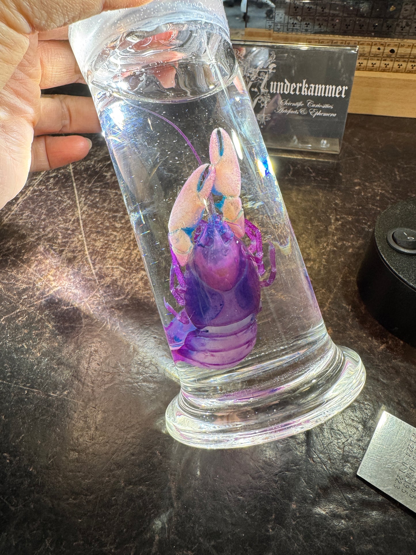 Diaphonised Yabbies in jar