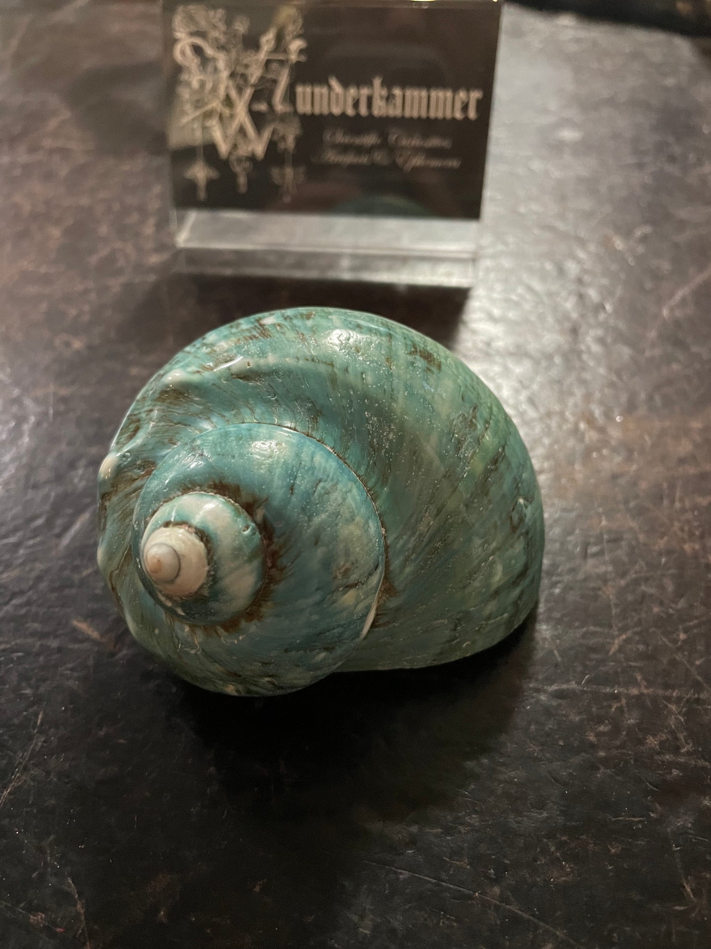 Great Green Turbo Shell