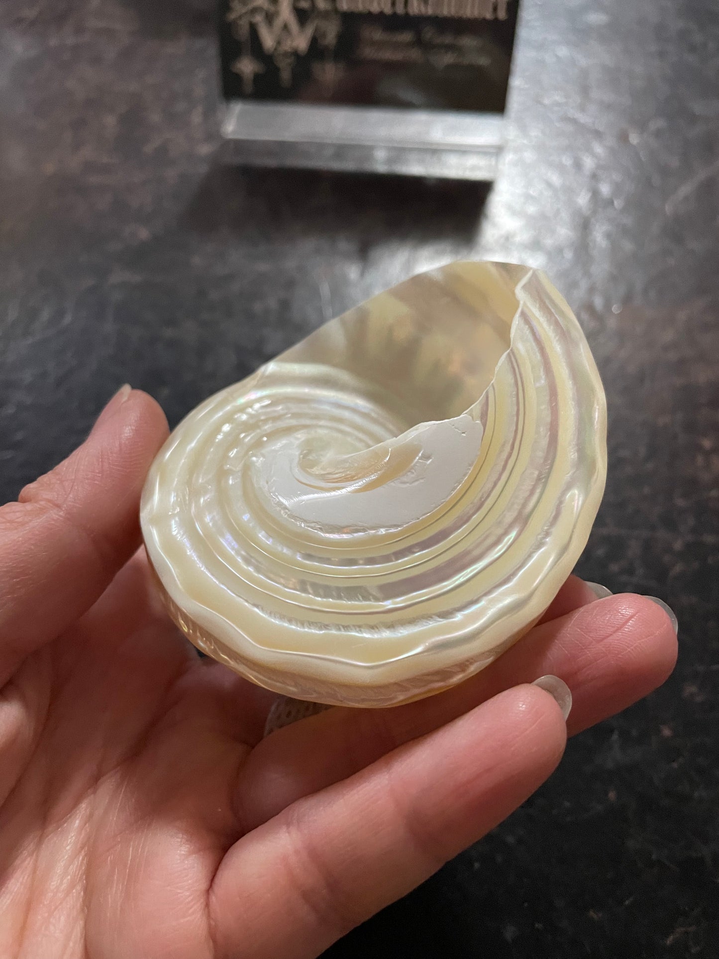 Pearlised Wavy Top Turbo Shell