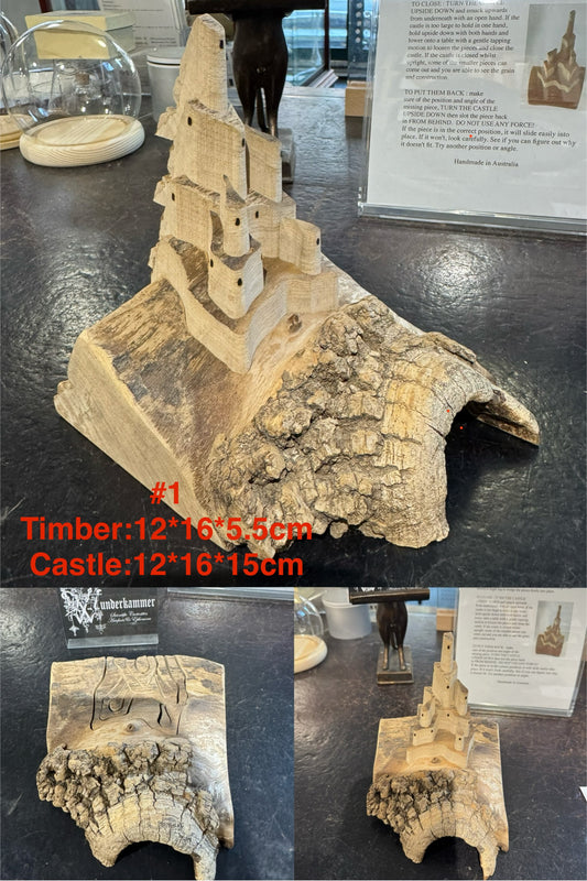 Castle on a hill