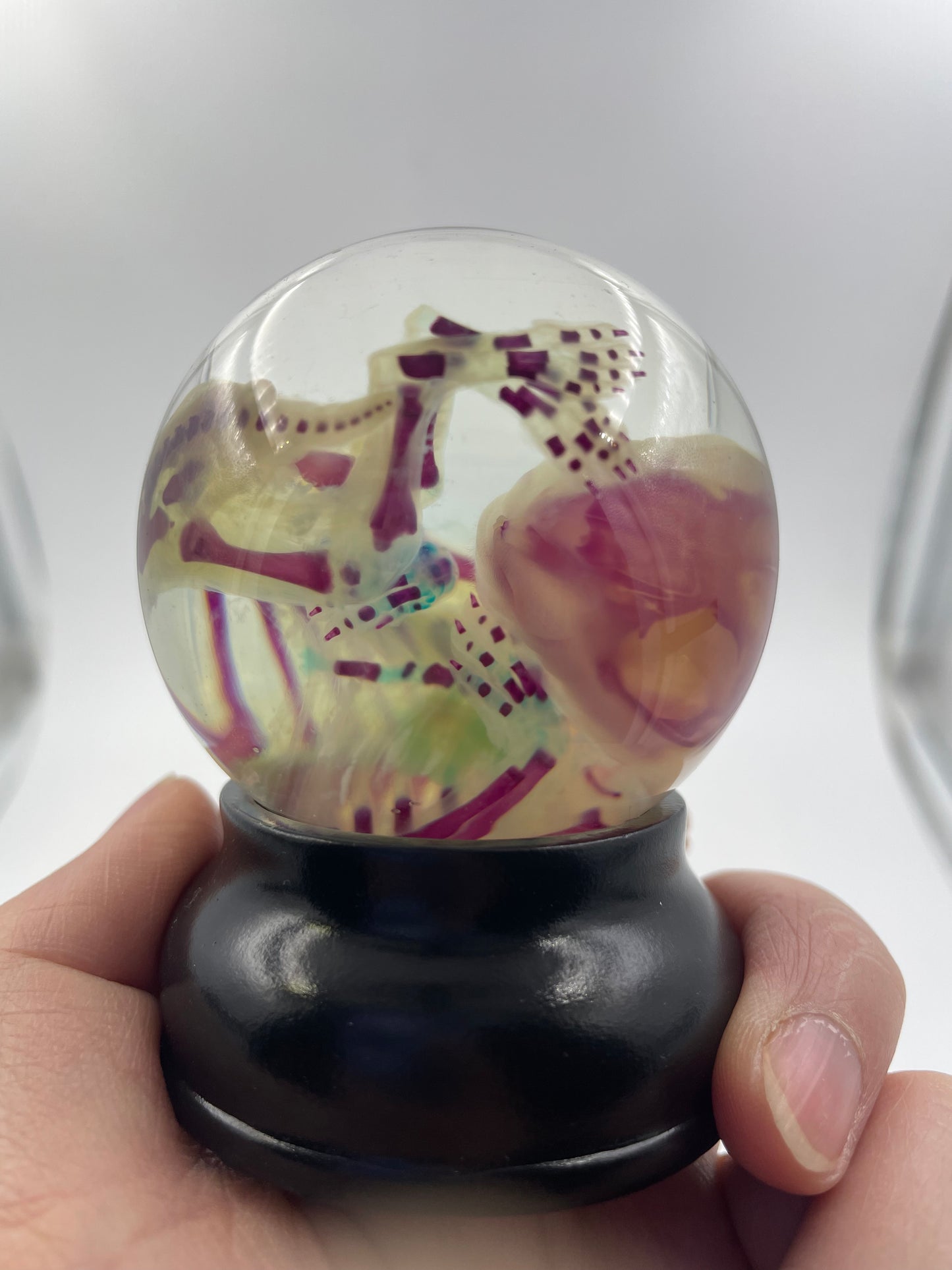Diaphonised Rabbit Fetus