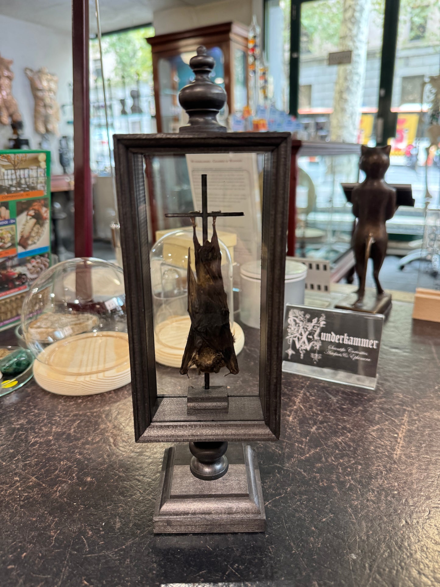 Hanging Bats