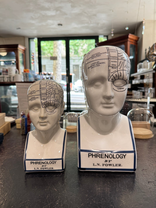 Phrenology head