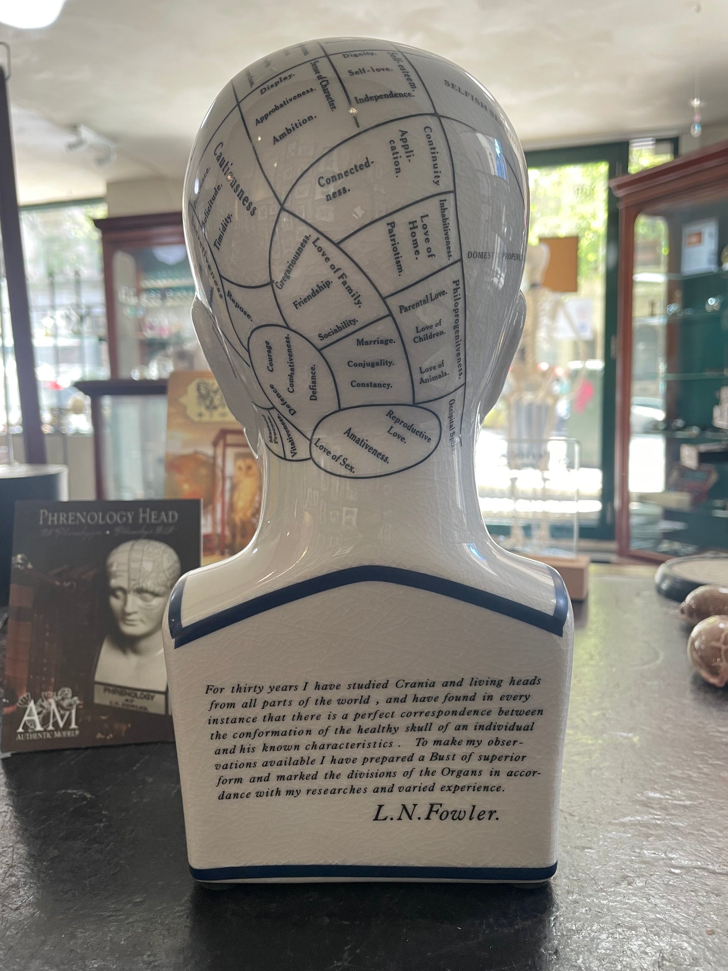 Phrenology head