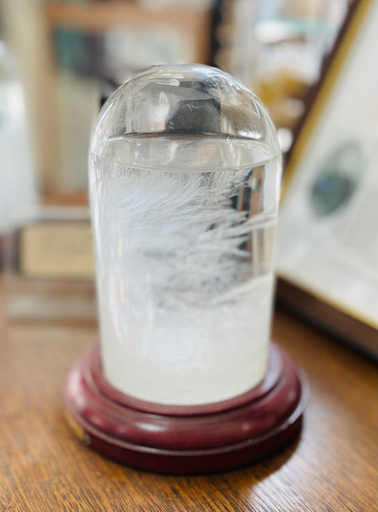 Storm glass