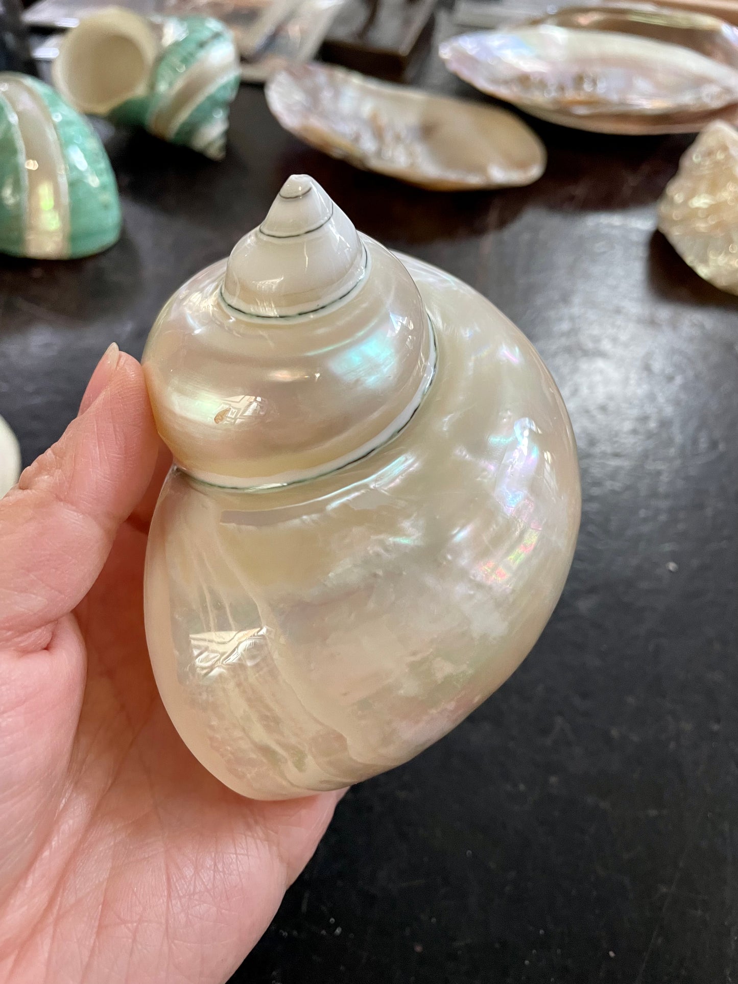 Pearl Turbo Shells