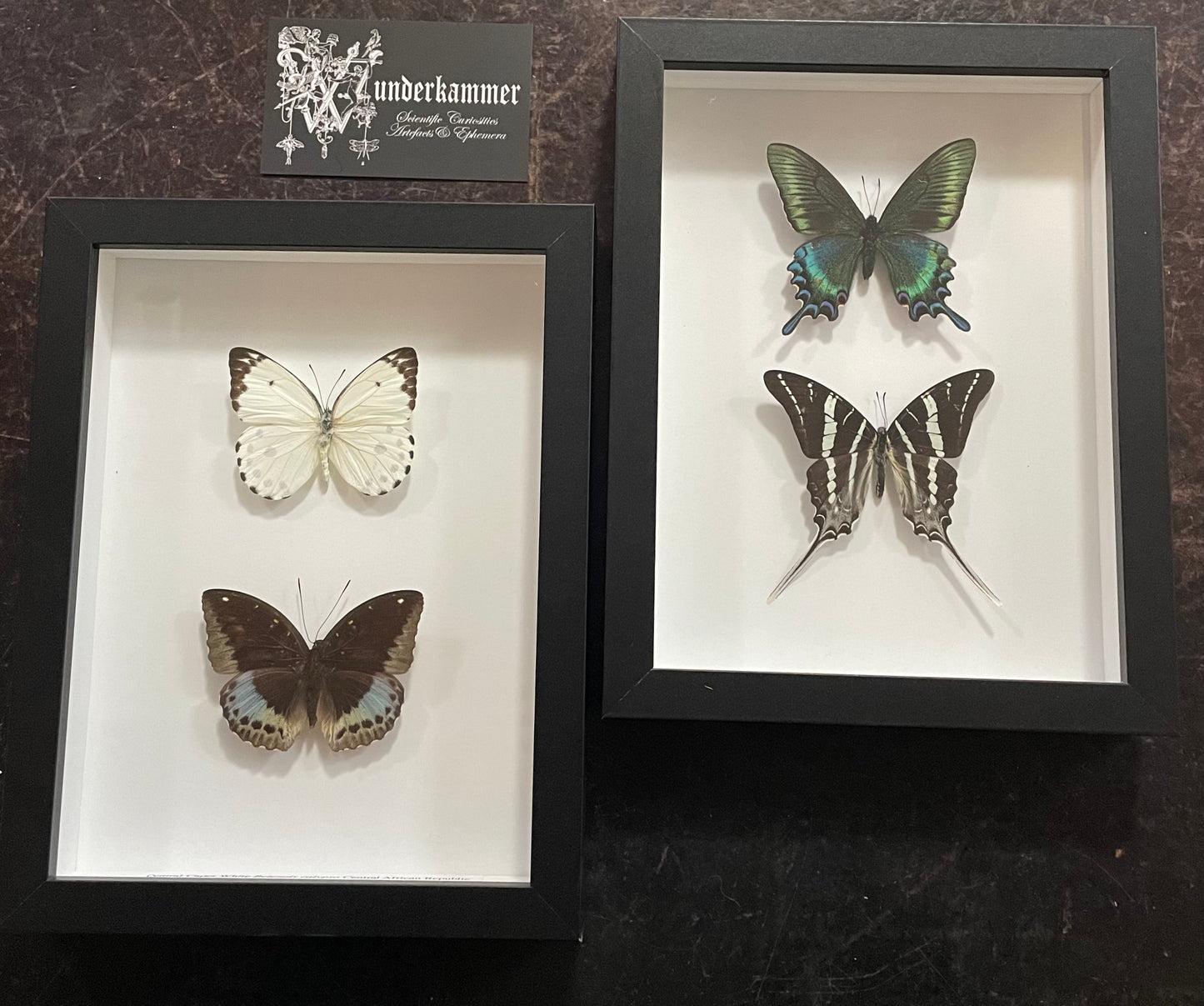 Double-butterfly frame, small