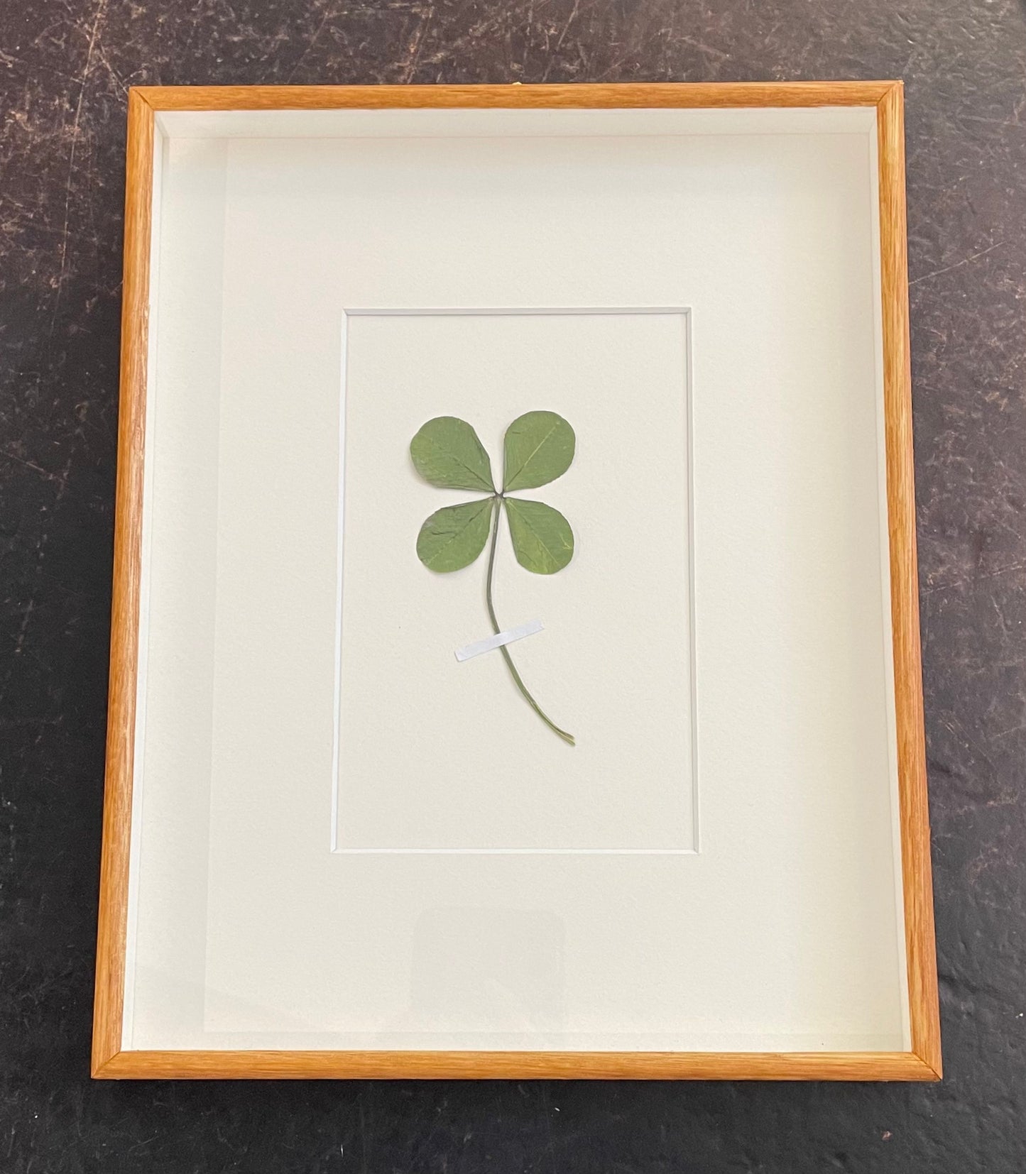 Four leaf clover