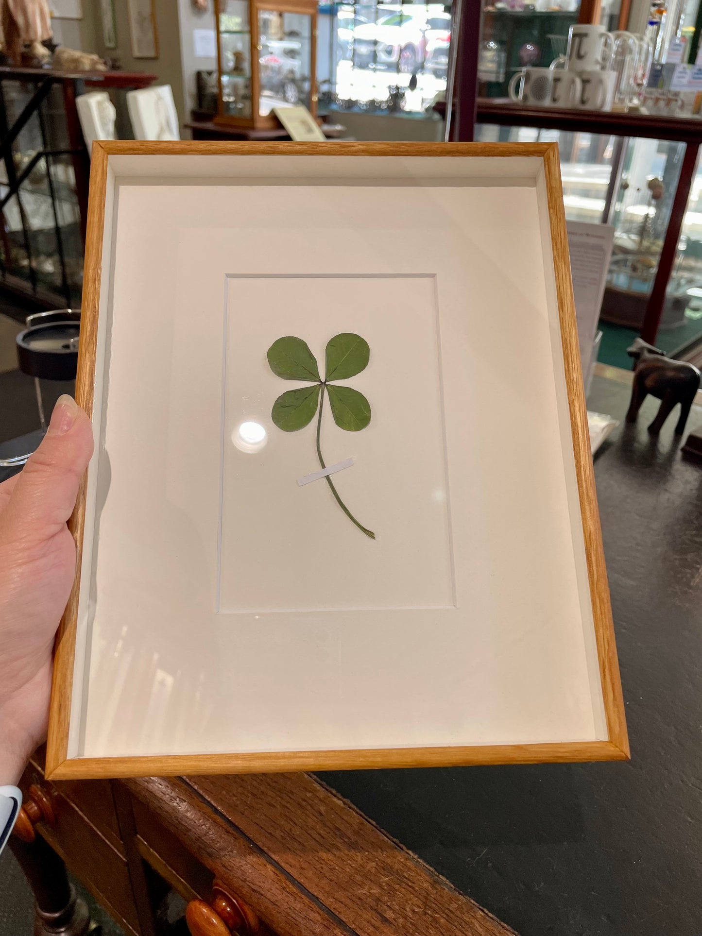 Four leaf clover