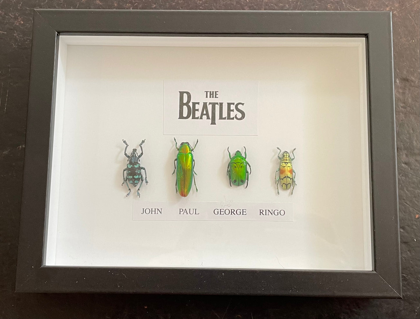 The Beatles