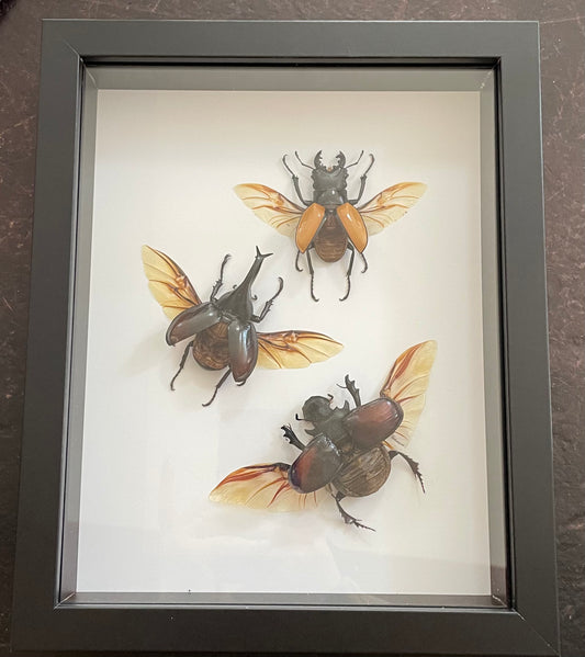 Triple Beetles