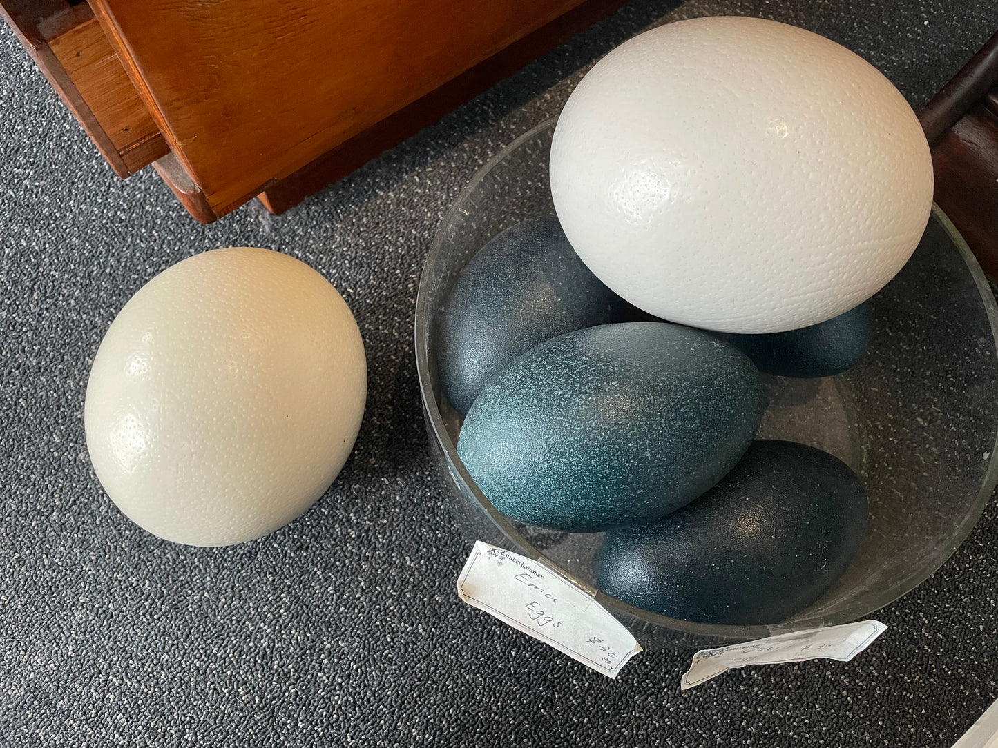 Ostrich/ Emu eggs