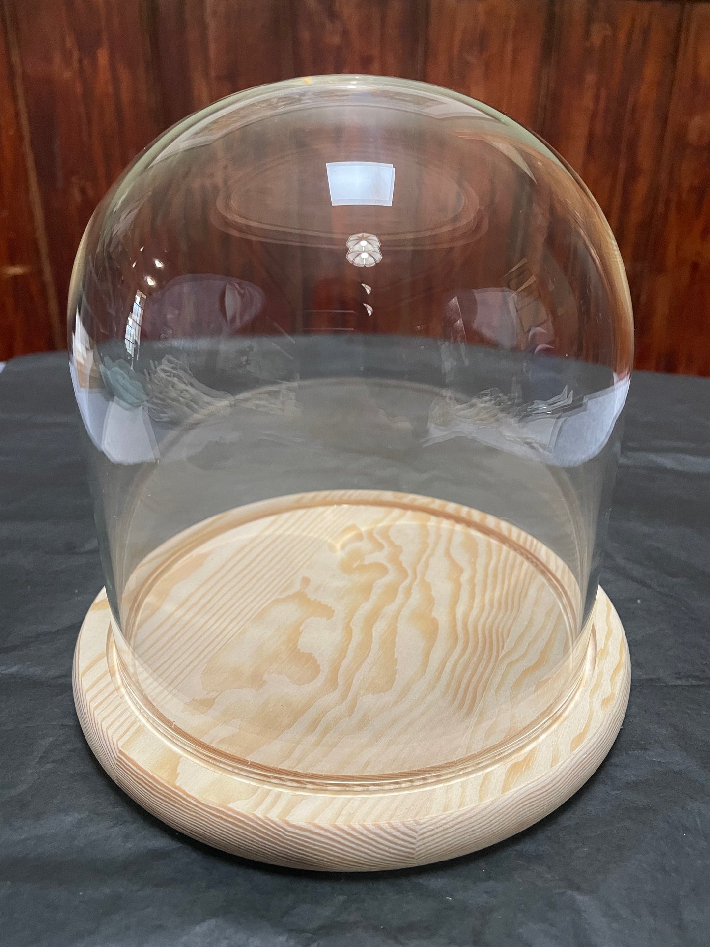 Beaver Skull