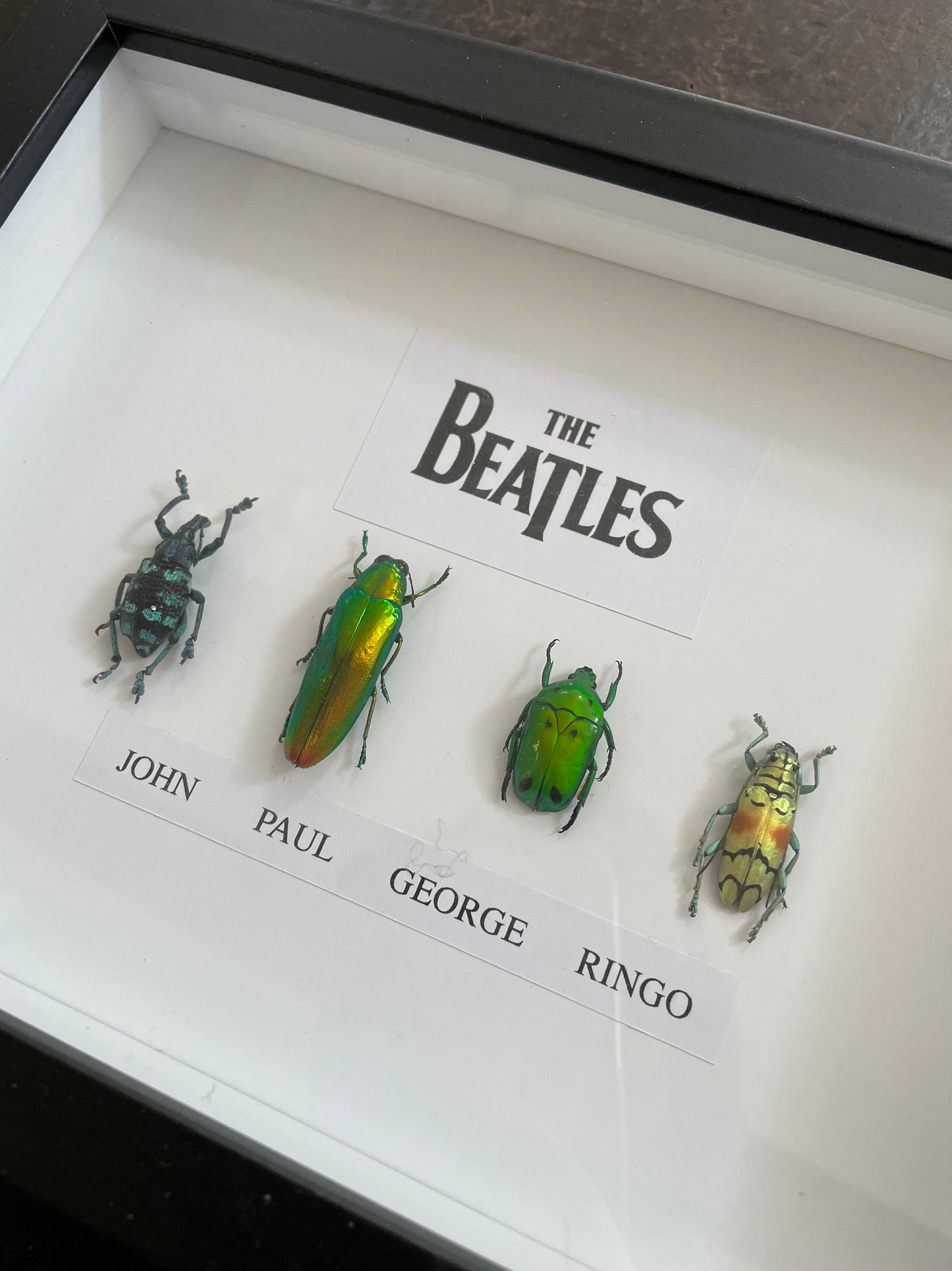 The Beatles