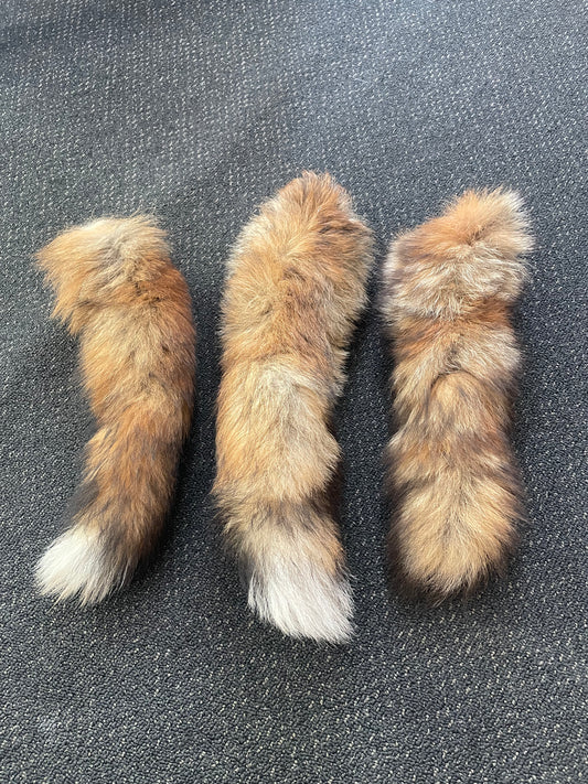 Fox tail
