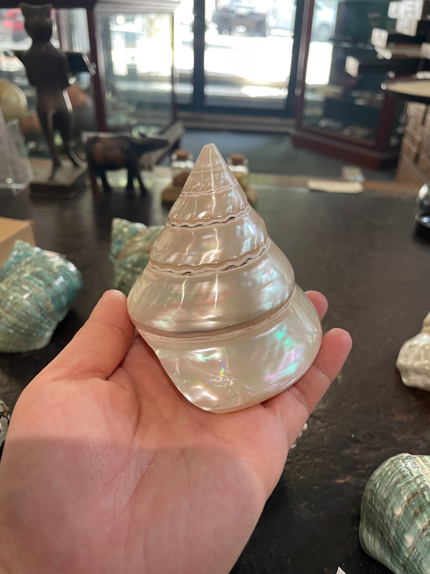 Pearlised Wavy Top Turbo Shell