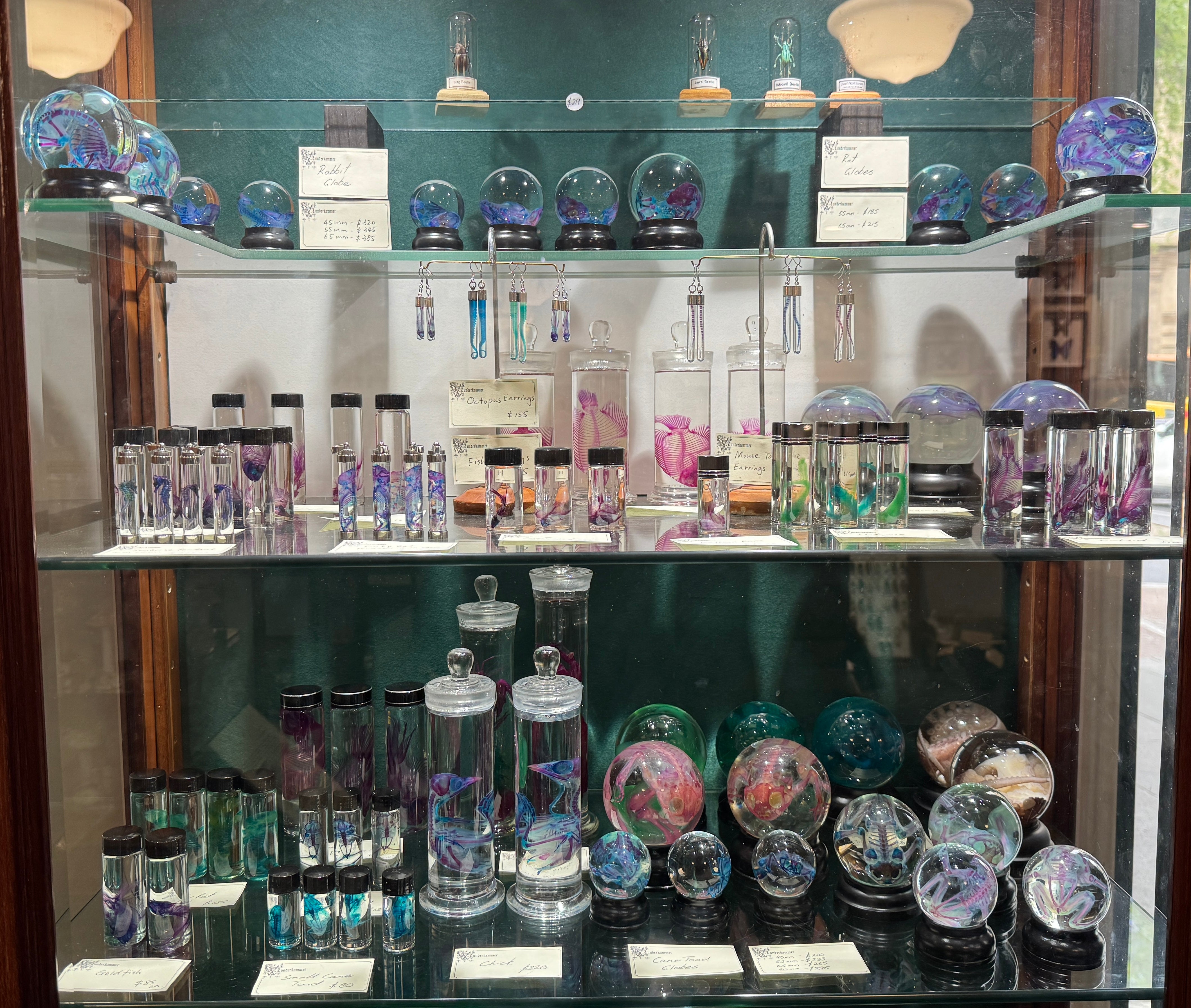 Diaphonization – Wunderkammer