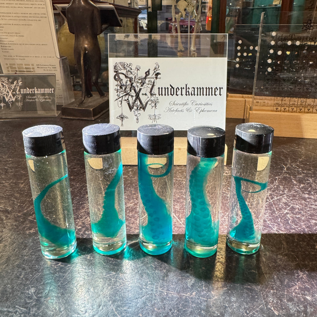 Diaphonization – Wunderkammer
