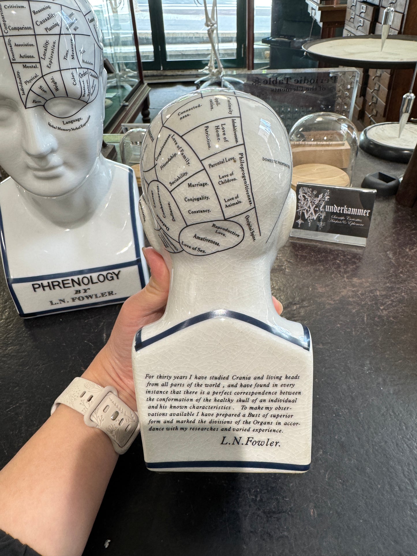 Phrenology head