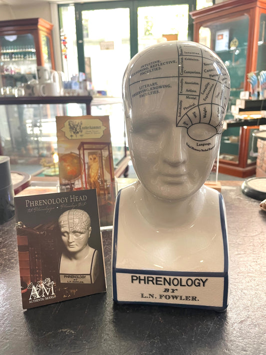 Phrenology head