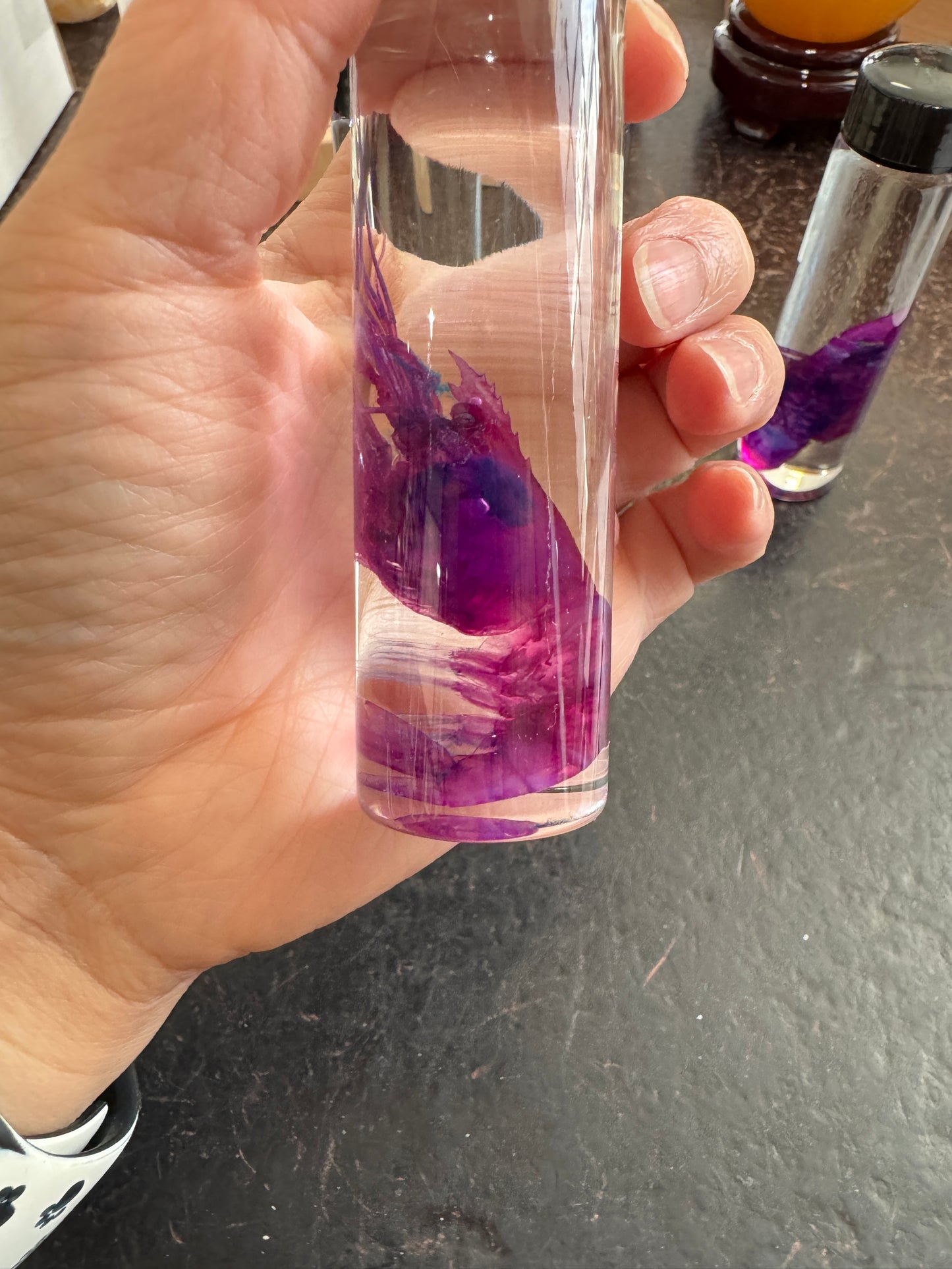 Diaphonised Yabbies in jar