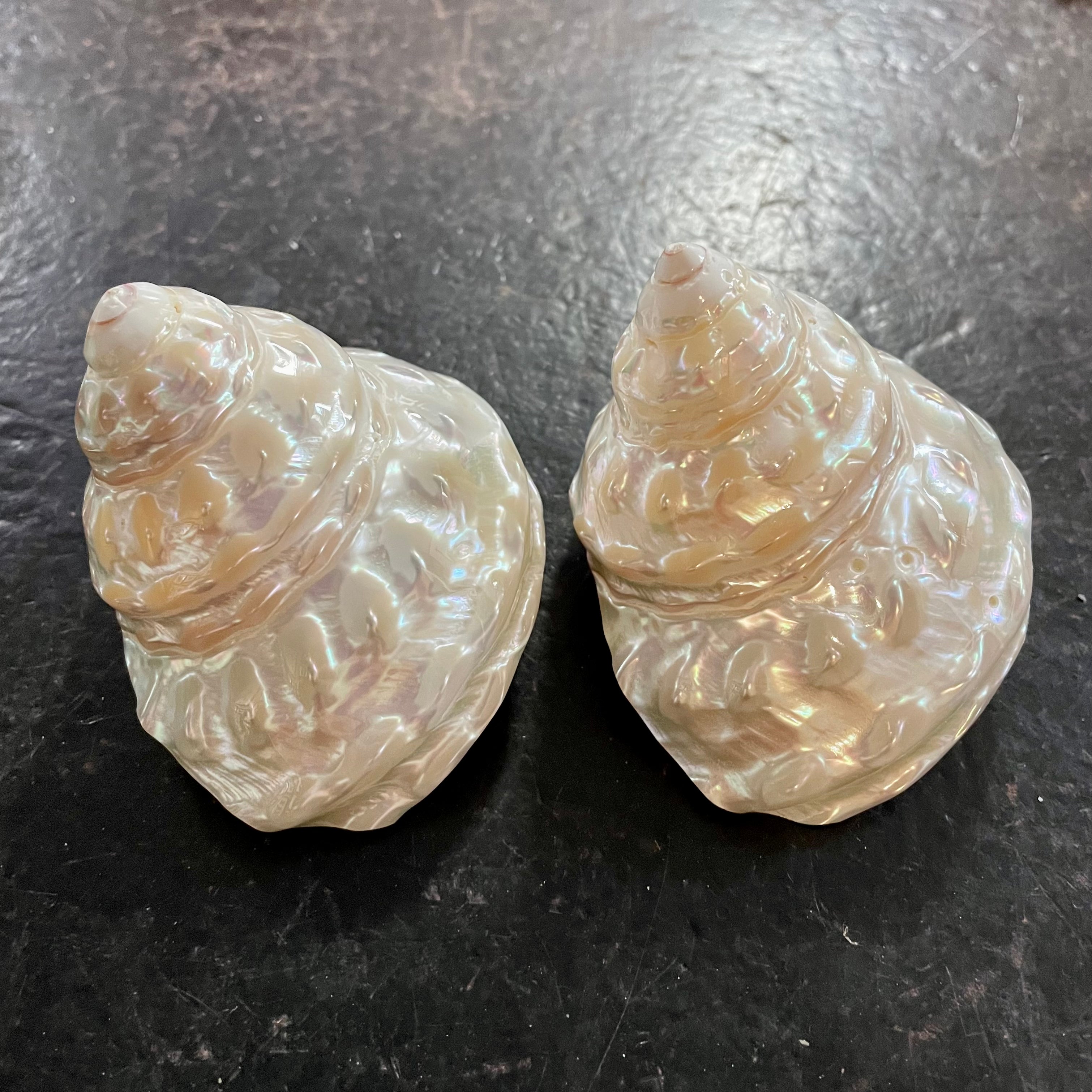 Pearlised Wavy Top Turbo Shell – Wunderkammer