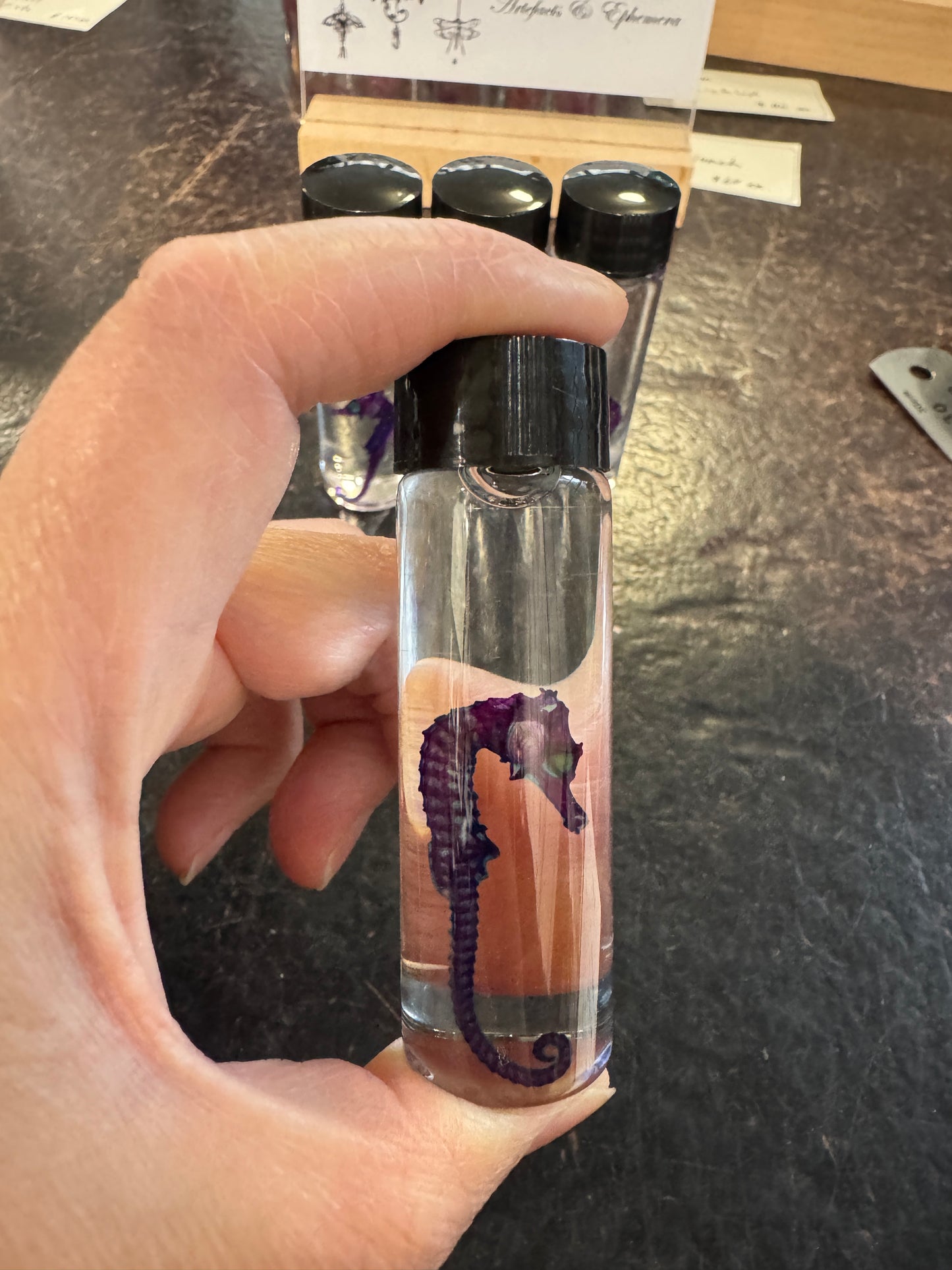 Diaphonised Seahorses