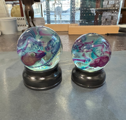 Diaphonised Rat in globes