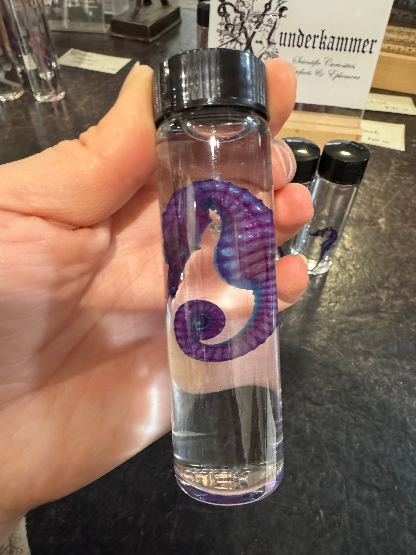 Diaphonised Seahorses