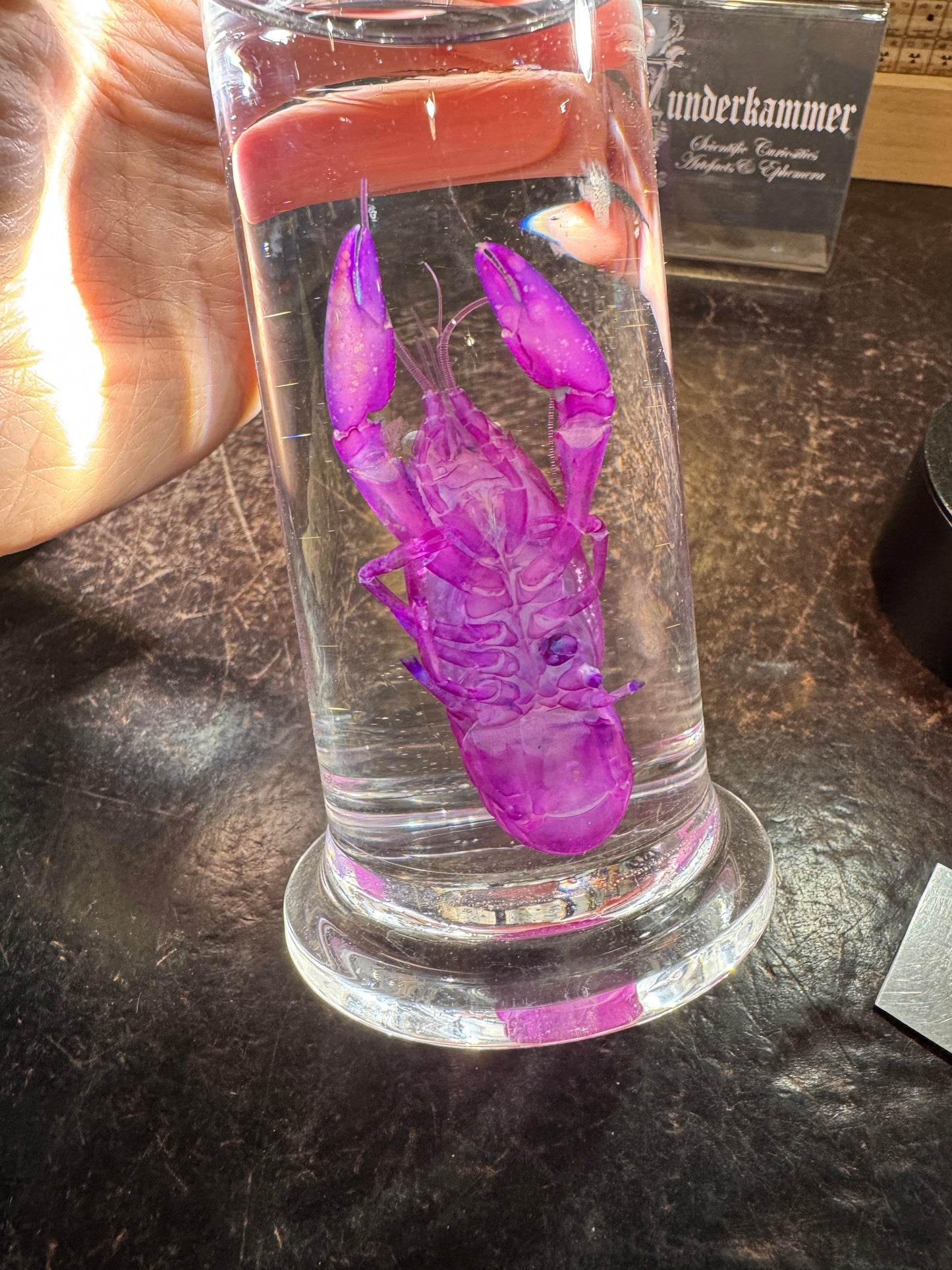 Diaphonised Yabbies in jar