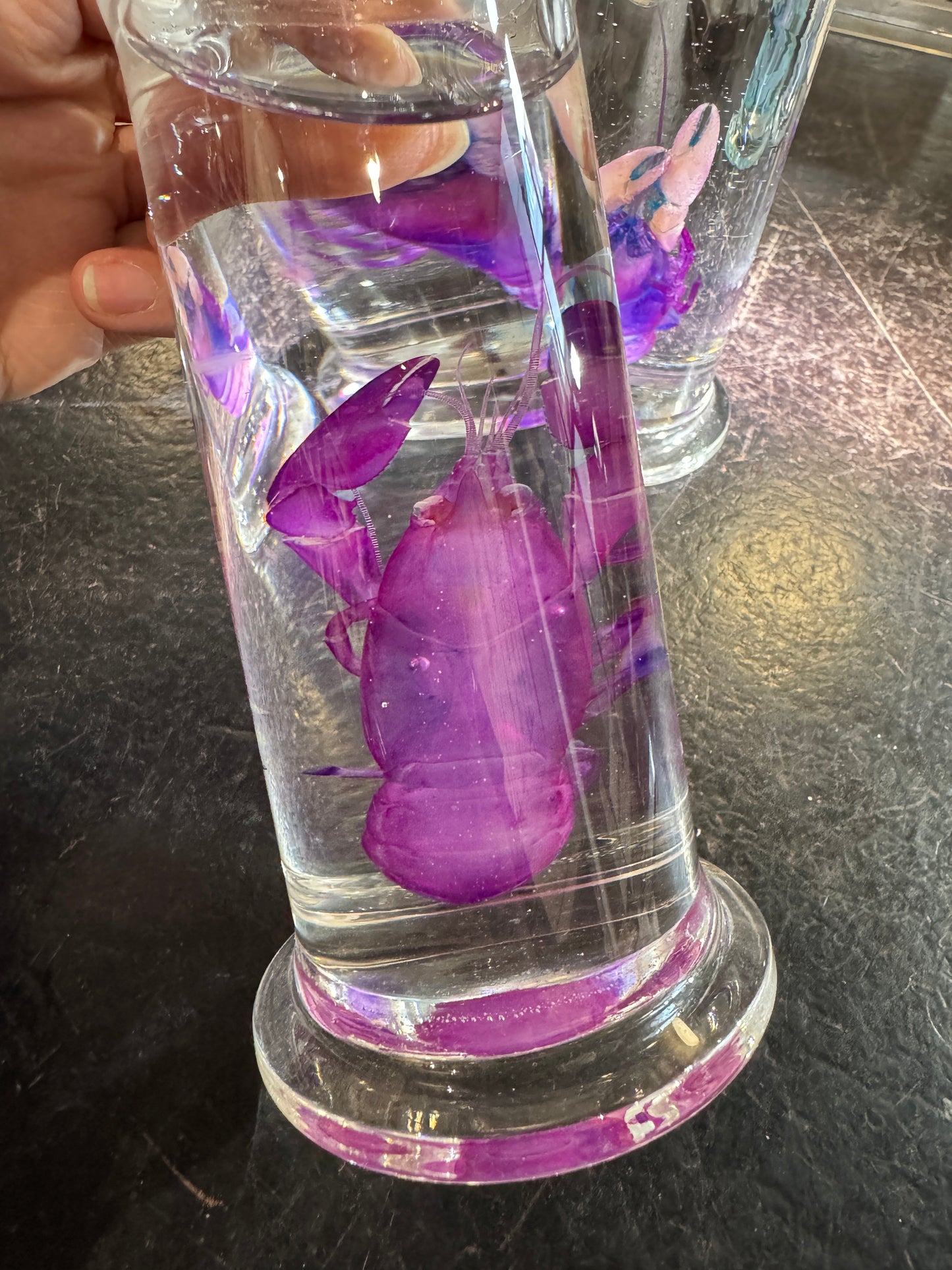 Diaphonised Yabbies in jar