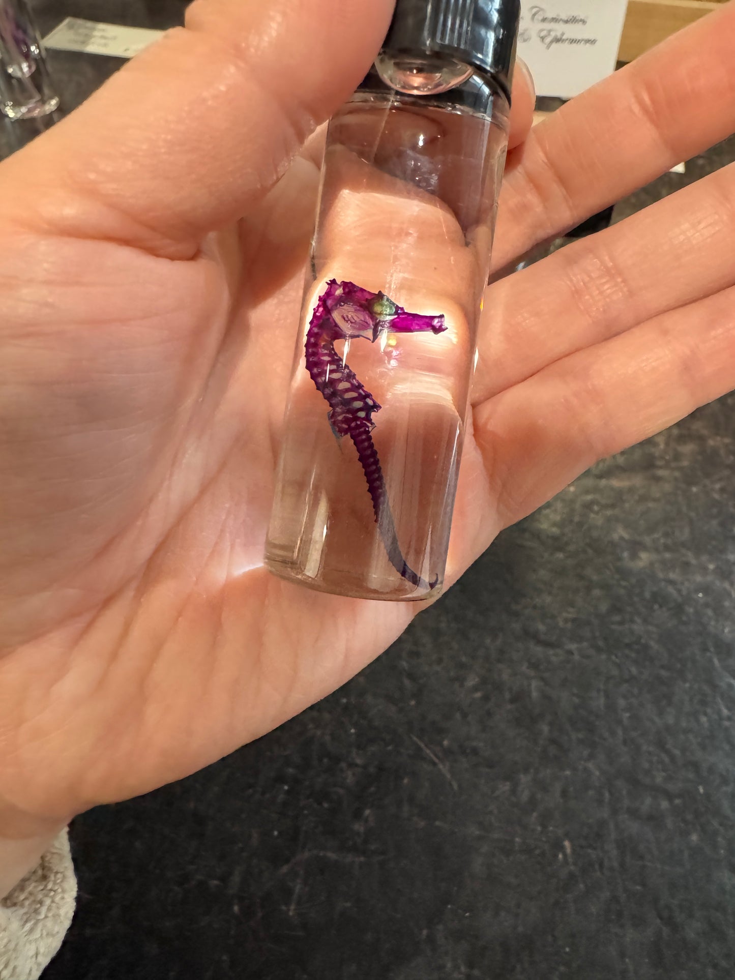 Diaphonised Seahorses