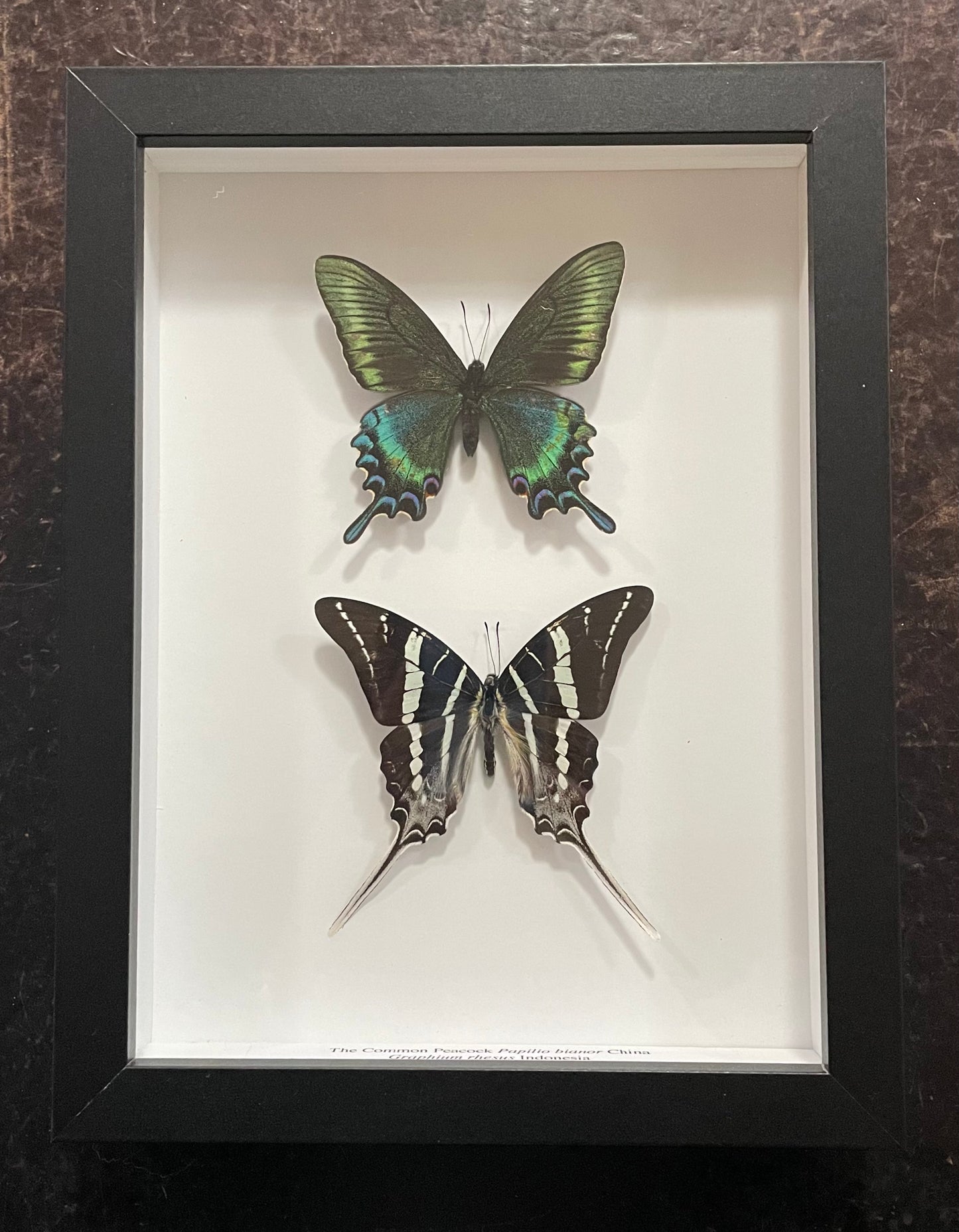 Double-butterfly frame, small