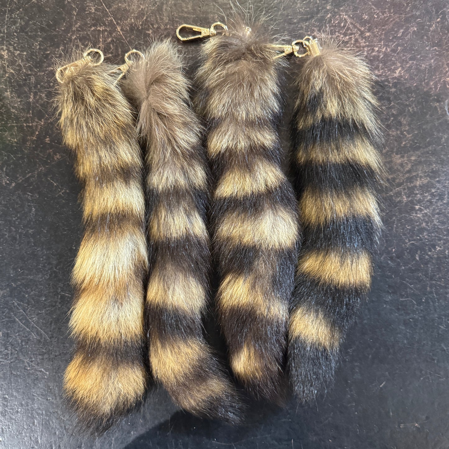Raccoon tail