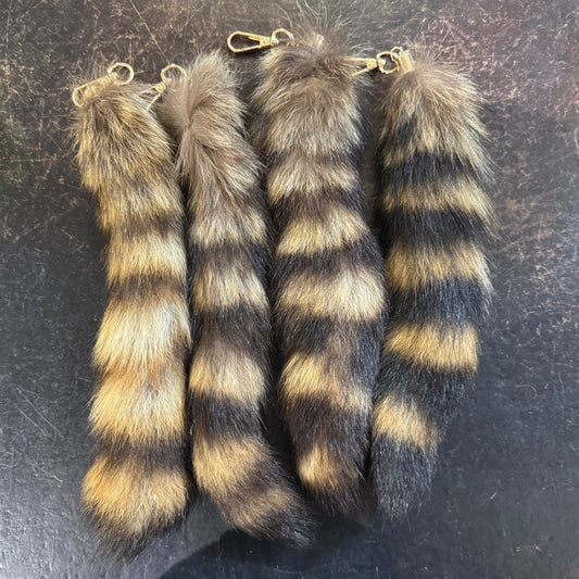 Raccoon tail