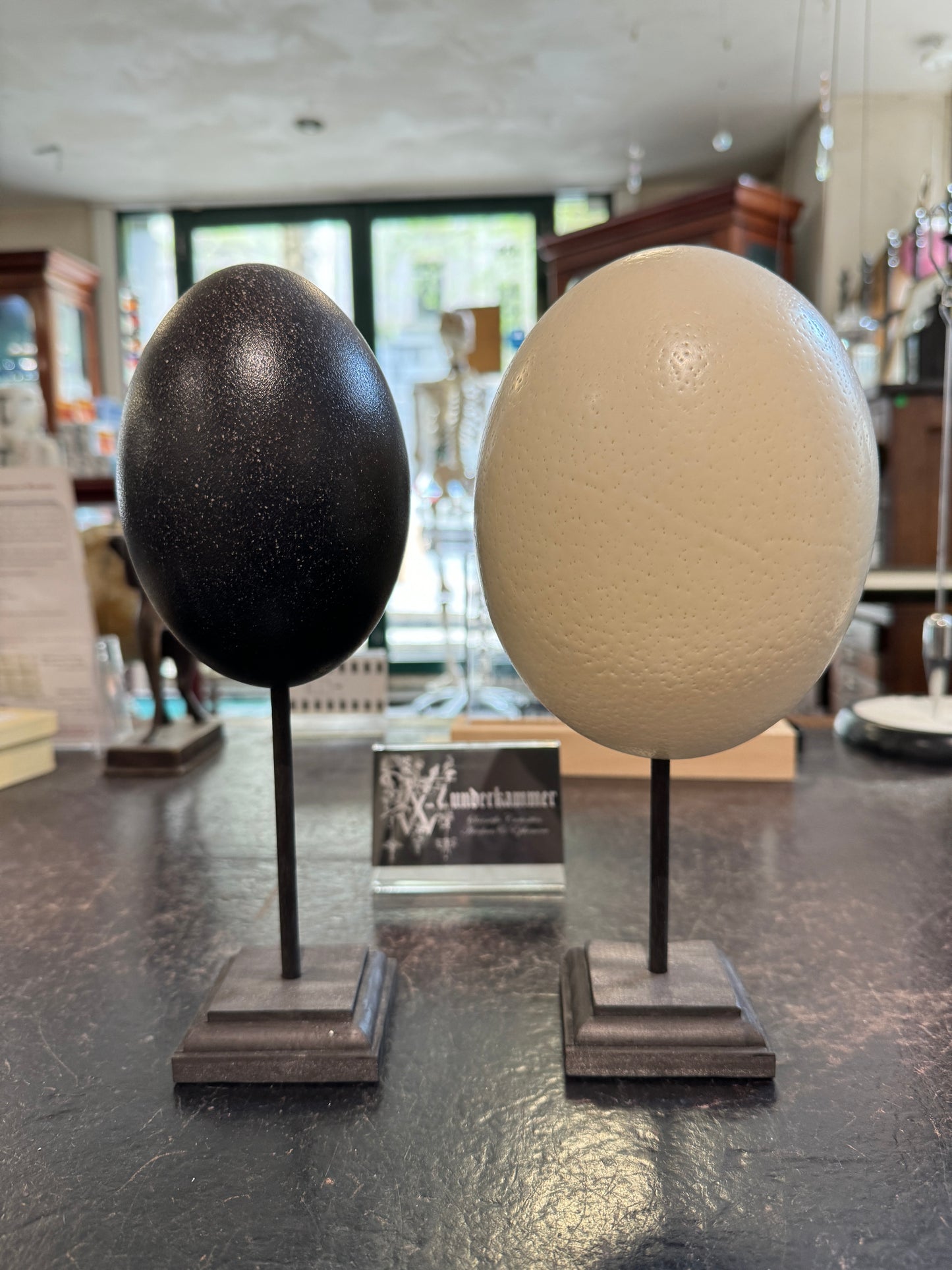 Ostrich/ Emu eggs