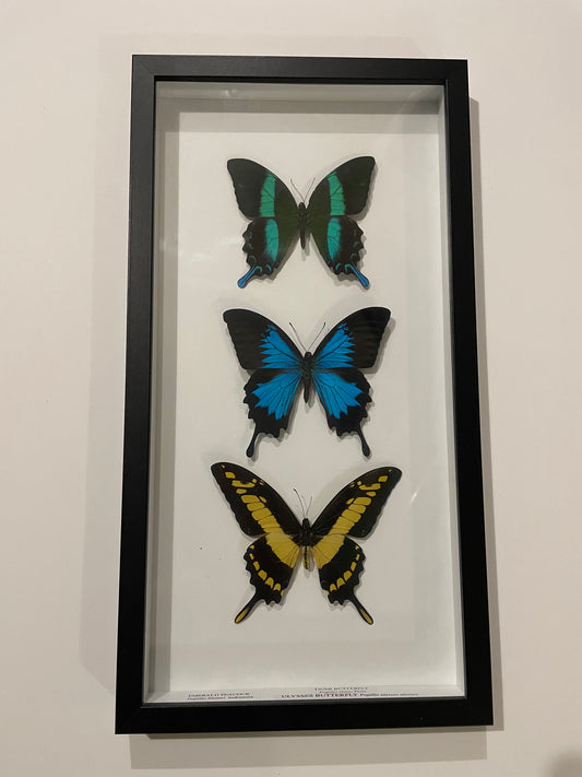 Triple butterflies