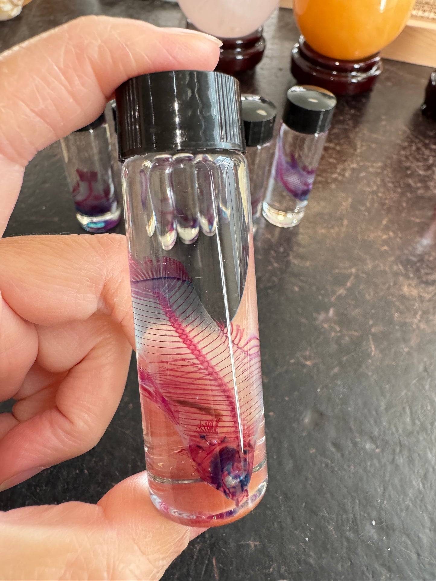 Diaphonised Fancy Molly