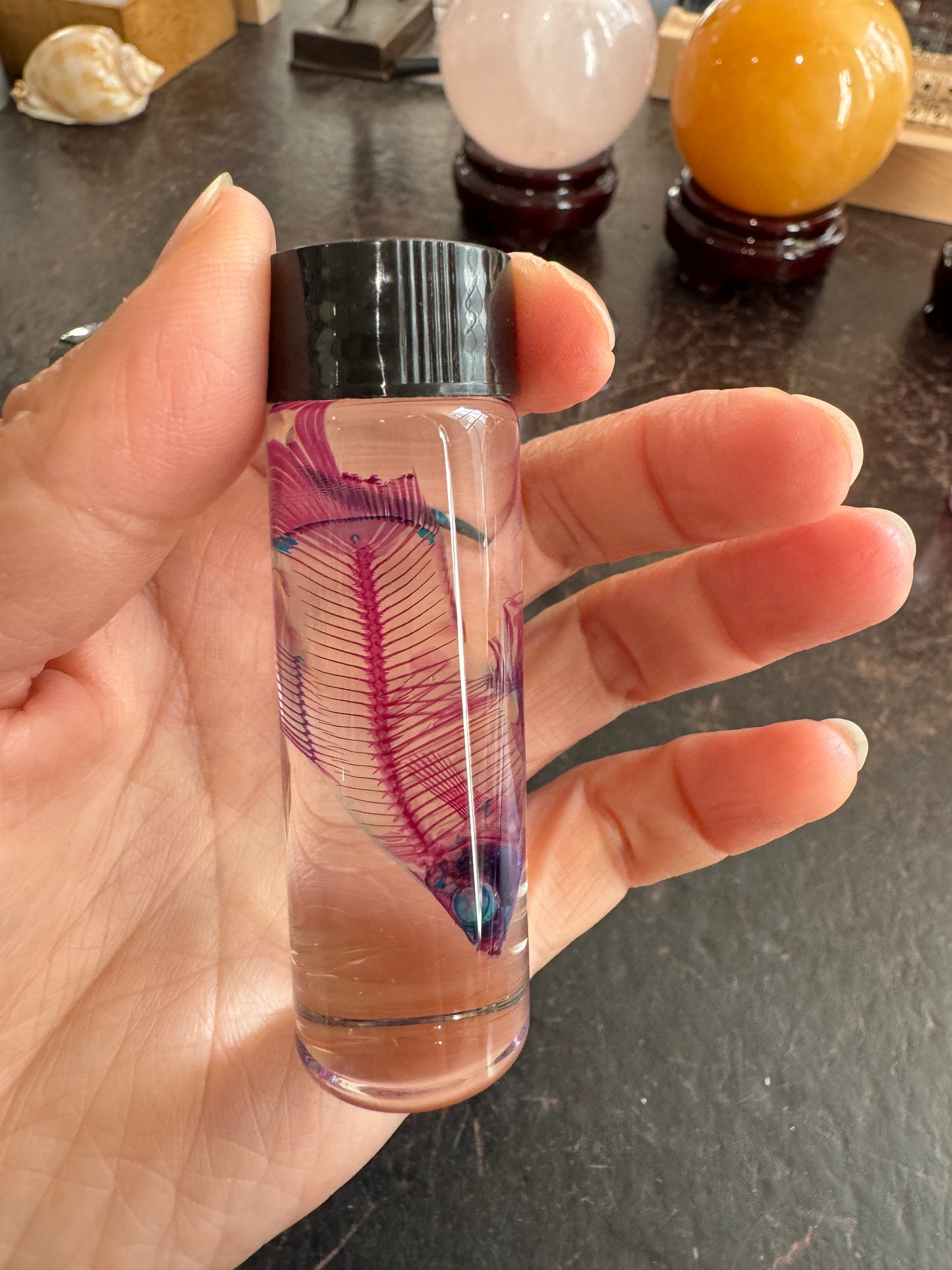 Diaphonised Fancy Molly