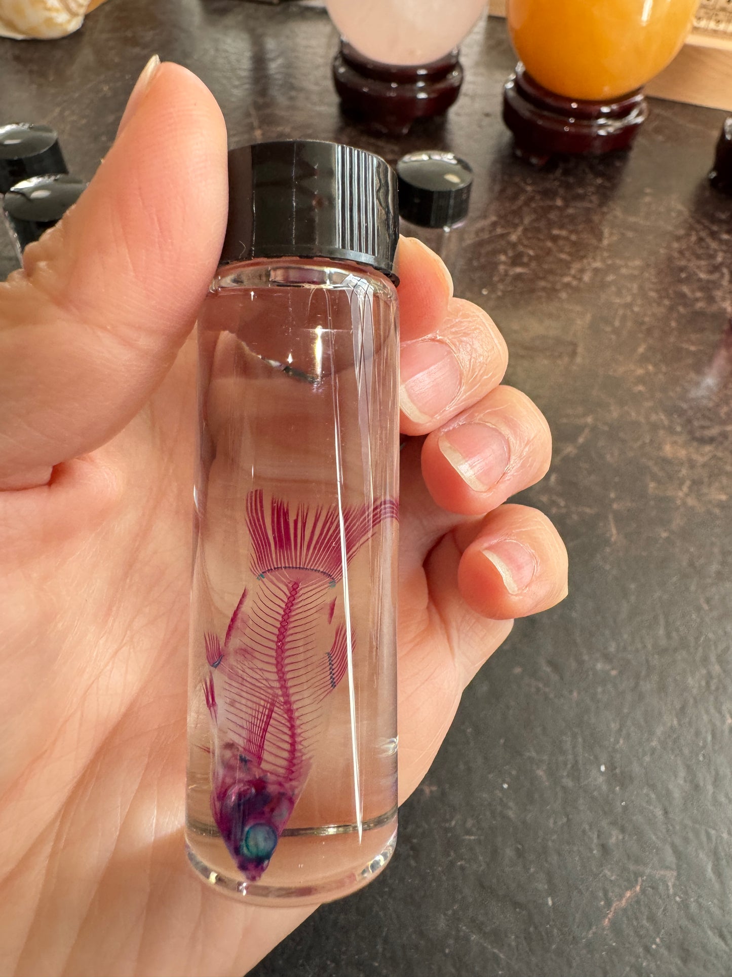 Diaphonised Fancy Molly